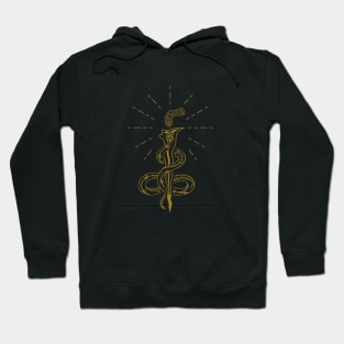 Weapon and Snake Hoodie